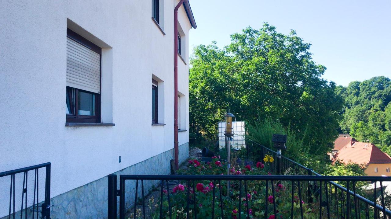 Schlossberg Apartments & Garten In Der Natur & Unweit Vom "Thueringer Meer" Unterwellenborn Eksteriør billede