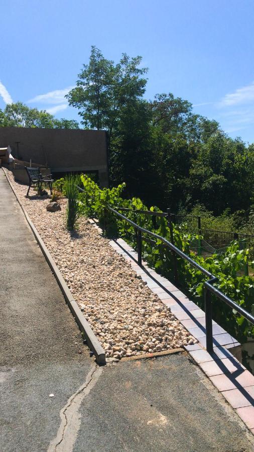 Schlossberg Apartments & Garten In Der Natur & Unweit Vom "Thueringer Meer" Unterwellenborn Eksteriør billede